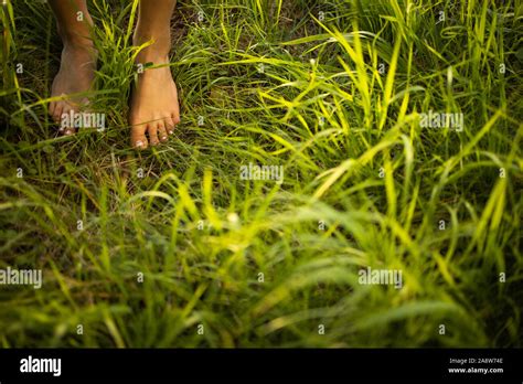 nude girl small|3,704 Naturism Stock Photos and High